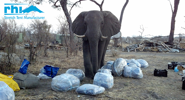 African security with RHI Stretch Tents