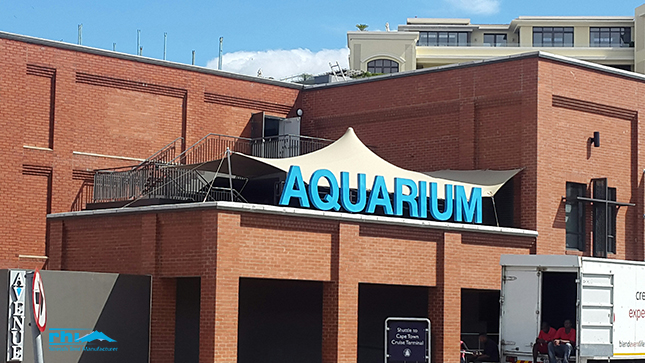 Custom manufactured stretch tent for the Two Oceans Aquarium